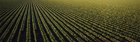 Wikkelfolie 